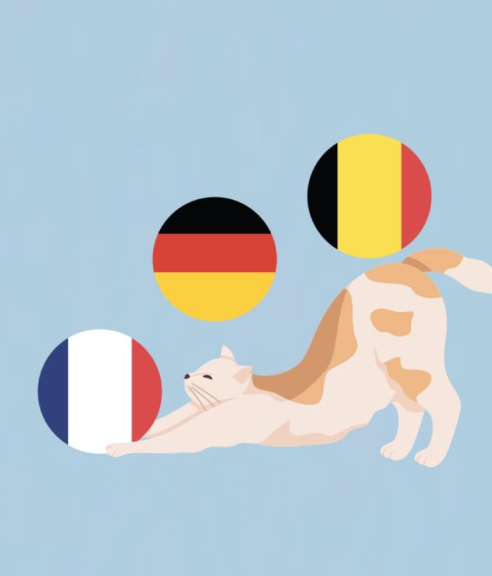 Internationalisation du concept