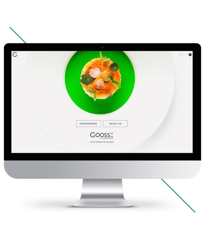 Premier site web