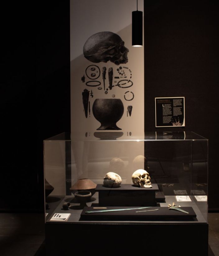 Aide à la scénographie de différentes expositions